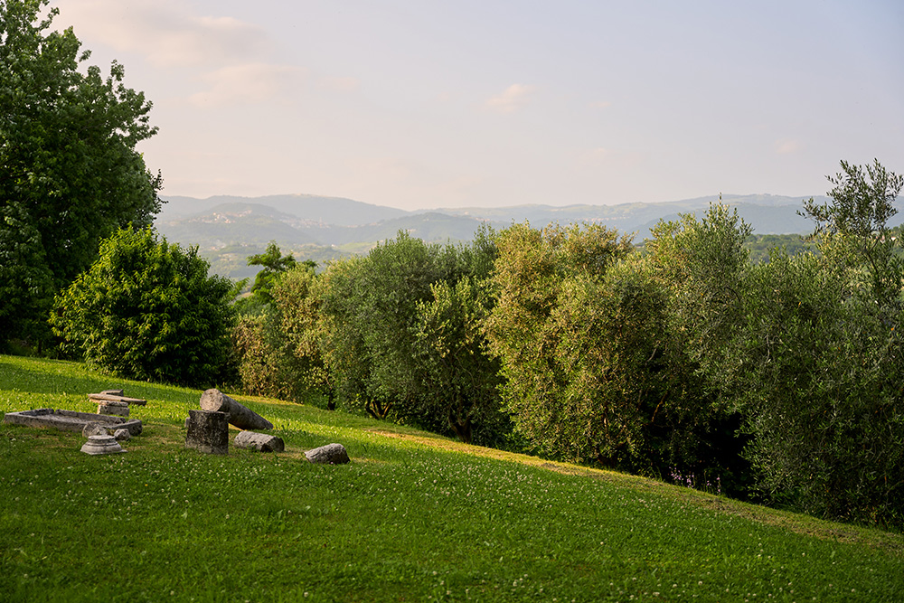 uliveto ca delle ore a breganze